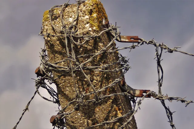 barbed wire, post, fence, wire, barrier, rusty, barb, brown email, gray email. Account security problems: password reuse, phishing, SIM swaps and stale sessions