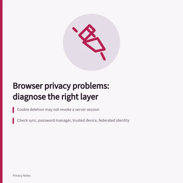 Card listing browser privacy checks: sessions, tracking, extensions, saved secrets. Browser privacy problems: persistent sign-ins, tracking, risky extensions and fingerprinting