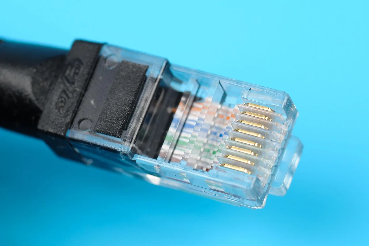 cable, internet, ethernet, lan, network, plug, connection, technology, computer, server, switch, data, digital, line, hardware, tech, online, electrician, wire, broadband, equipment, blue tech, blue server, ethernet, ethernet, server, tech, electrician, electrician, electrician, electrician, broadband, broadband, broadband, broadband, broadband. Cross-border data flows PIPEDA: Ontario firms and US partners