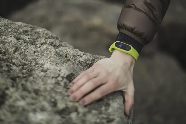 green, band, exercise, tracker, fitness, health, fitbit, display, statistics, wristband, fashion, fitbit, fitbit, fitbit, fitbit, fitbit. Mapping the data lifecycle of a fictional fitness account case