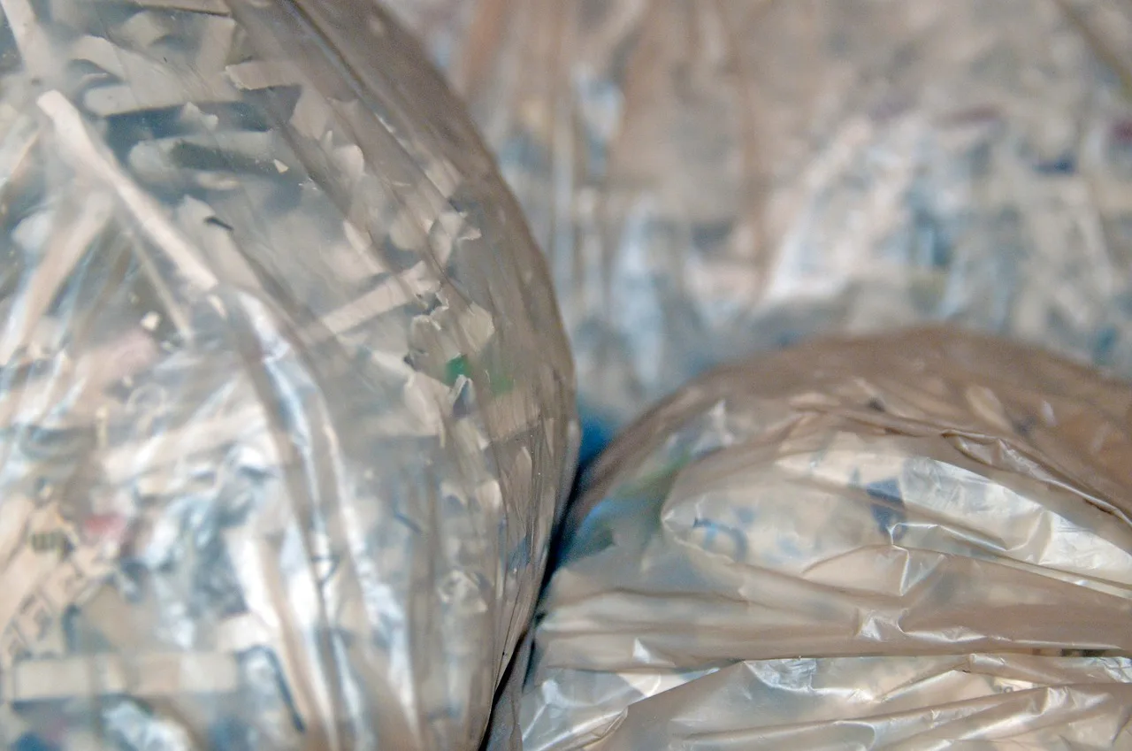 paper, shredded, shredder, shredding, confidential, strips, garbage, bags, documents, recycling, shred, waste, office, destroy, disposal, old, identity theft, personal, privacy. Tracking a fictional personal data access and deletion request case