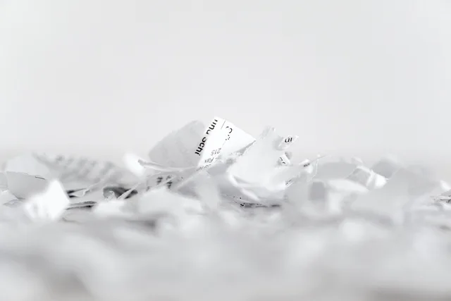 paper, shredder, flakes, recycling, cut, shredded paper, shredding, paper strip, shredded, disposal, document shredder, privacy policy, waste paper, crushed, paper industry, garbage, paper, paper, paper, paper, paper, privacy policy, privacy policy. Privacy rights compared: access, correction and deletion
