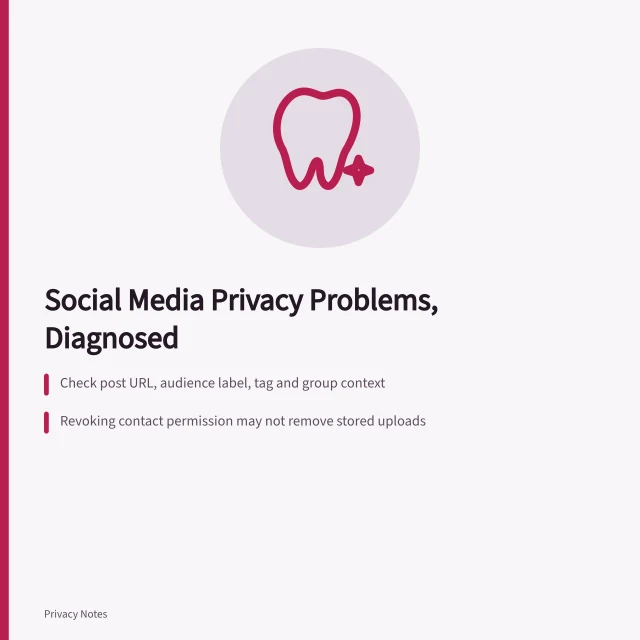 Card on social media privacy problems: audience, tags, contacts, impersonation. Social media privacy problems: audience collapse, resharing and impersonation